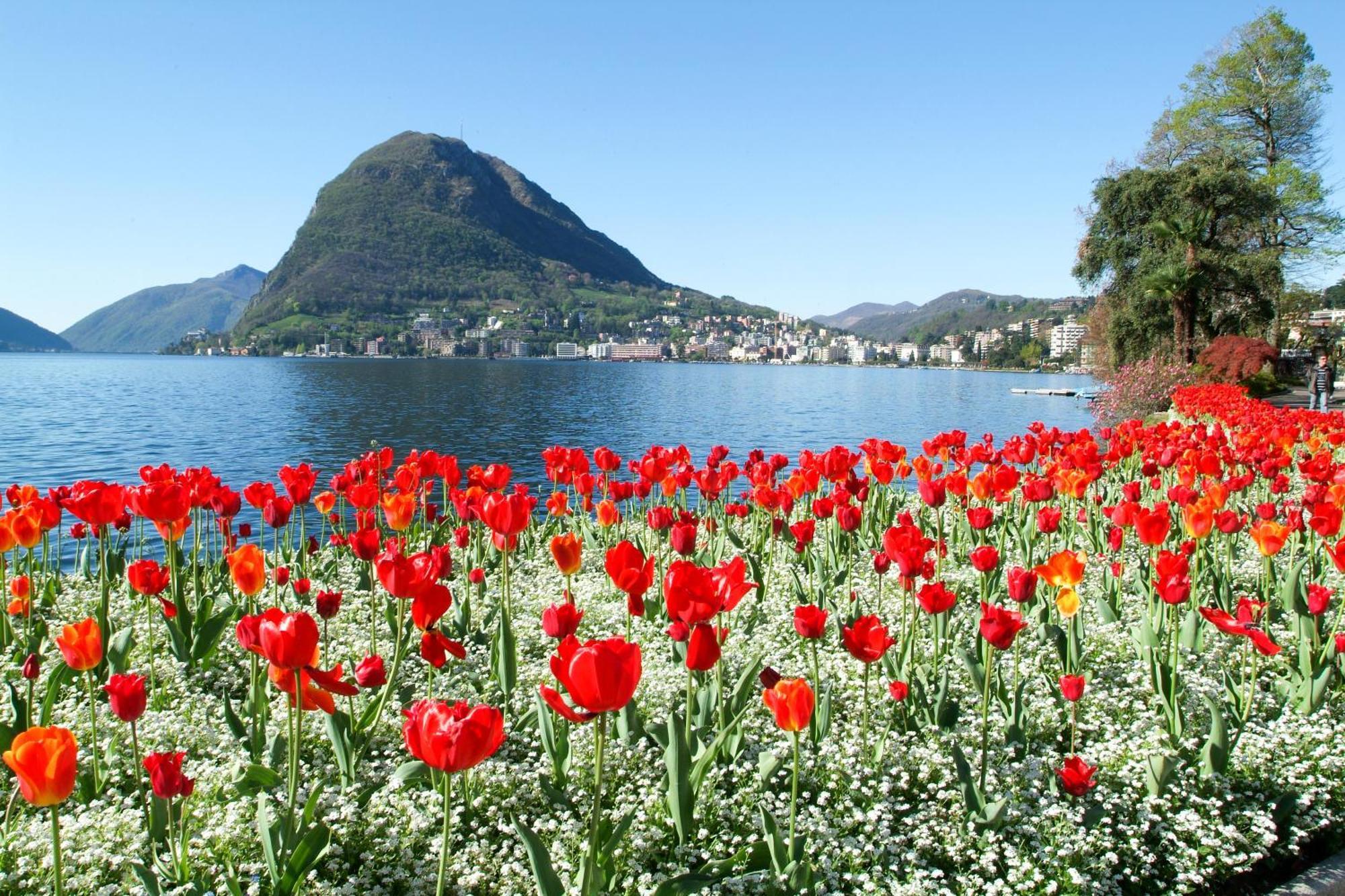 Prestige Du Lac 27 - Happy Rentals Lugano Luaran gambar